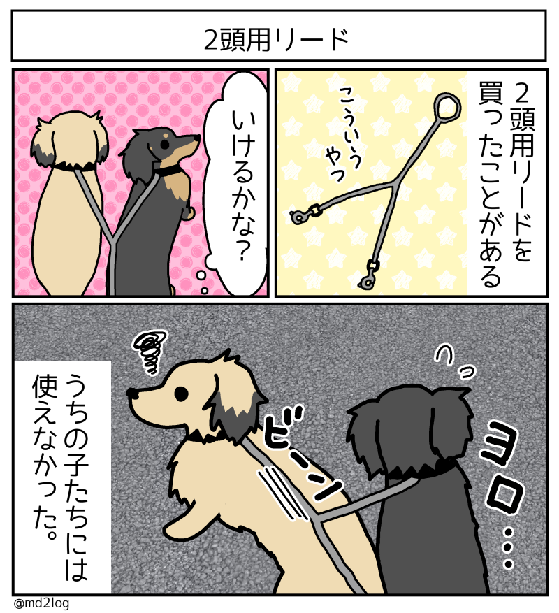 2019100101