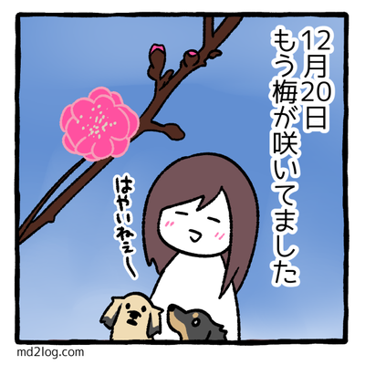 20201222