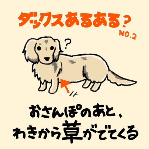 daruaru02