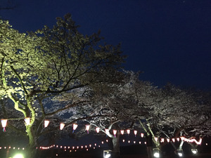 2017-04-14-18-45-38