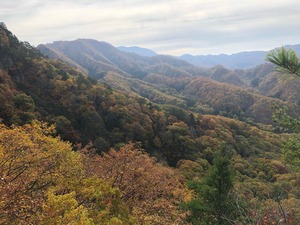 IMG_8869