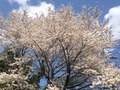 2014-04-12-14-30-03