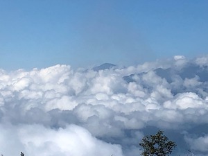 IMG_7745