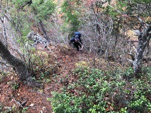 IMG_8879