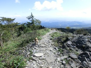 IMG_7817