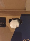 2016-06-29-19-14-22