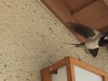 2016-04-25-13-19-28