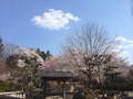 2014-04-12-14-28-49