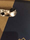 2016-06-29-19-14-43
