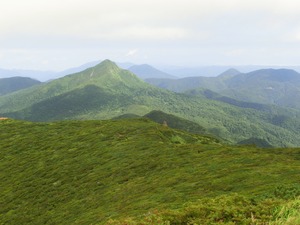IMG_7496