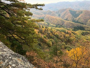 IMG_8873