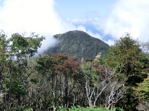 IMG_7816
