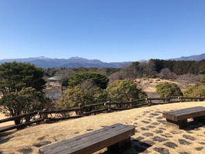 IMG_9257