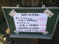 2014-04-12-11-47-03