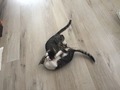 2016-06-29-07-35-44