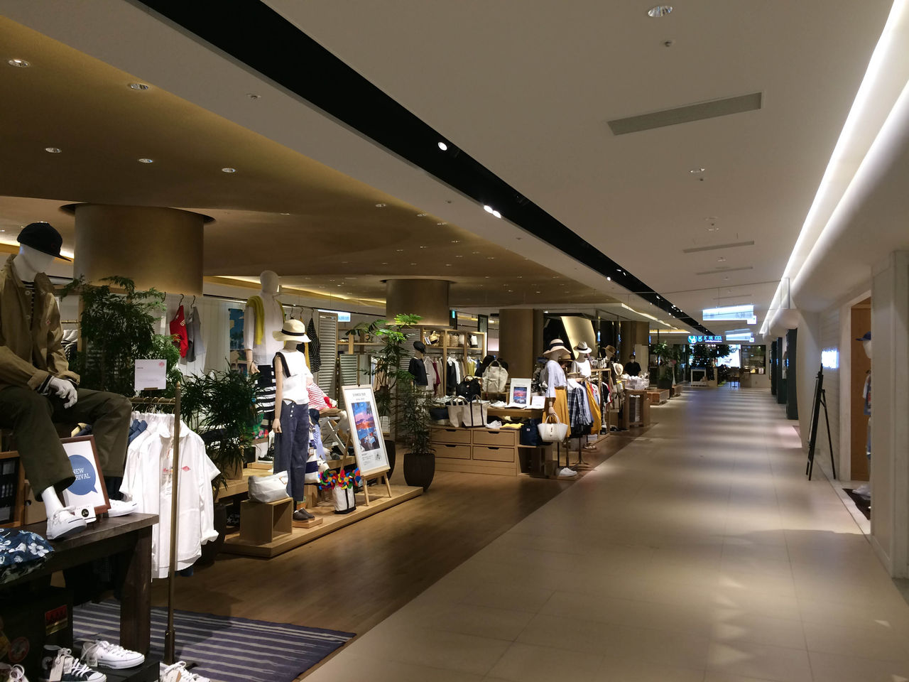 リニューアルオープンした ならファミリー 商業リサーチ