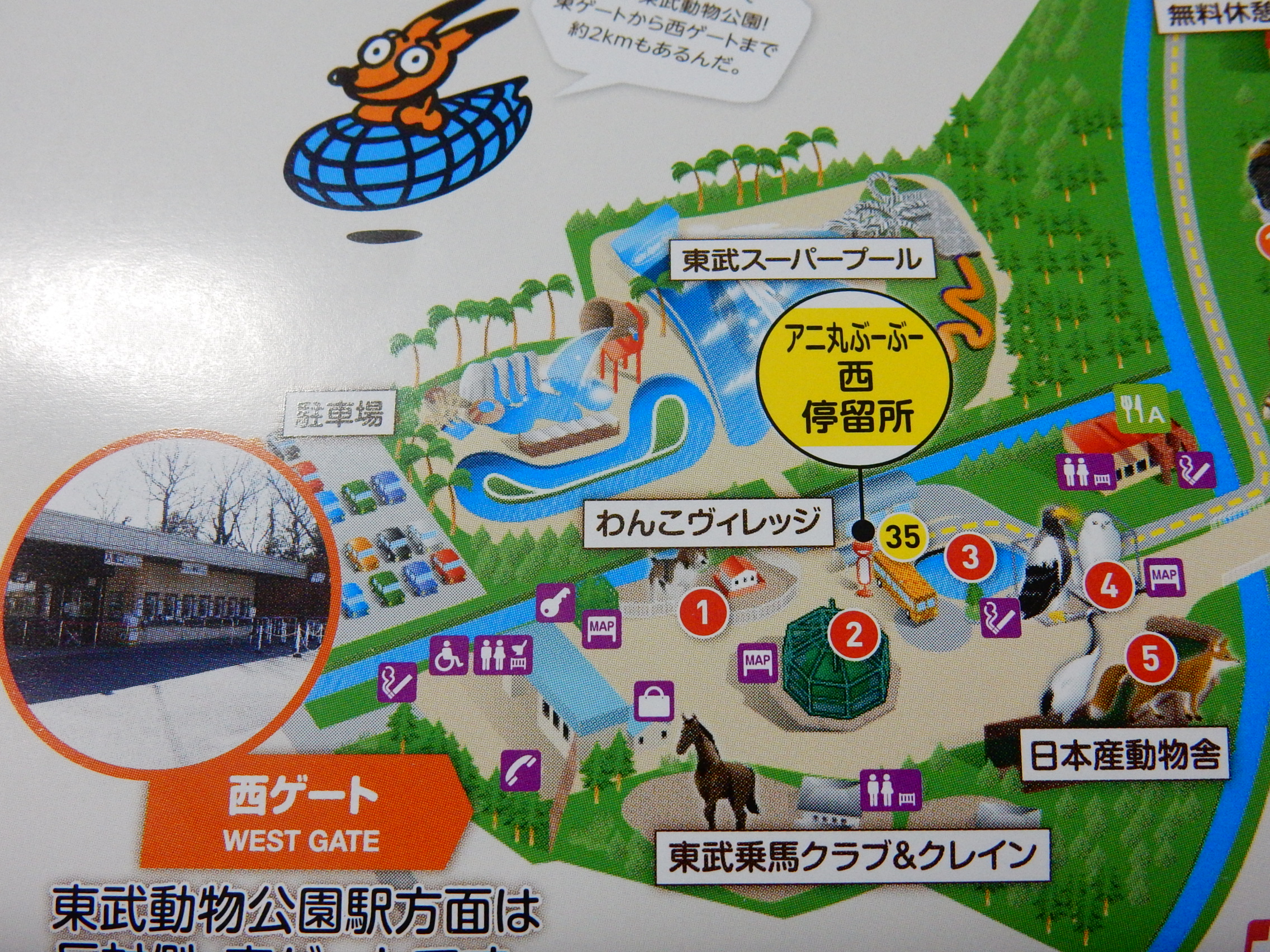 東武動物公園の中に猫をモフれる場所がありました 趣限無