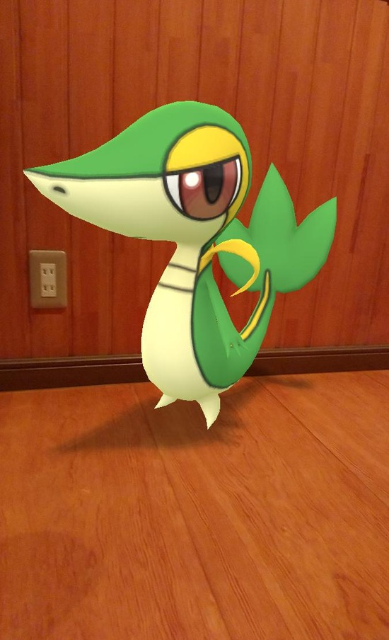 ポケモンgoプレイ日記 ツタージャかわいい 趣限無