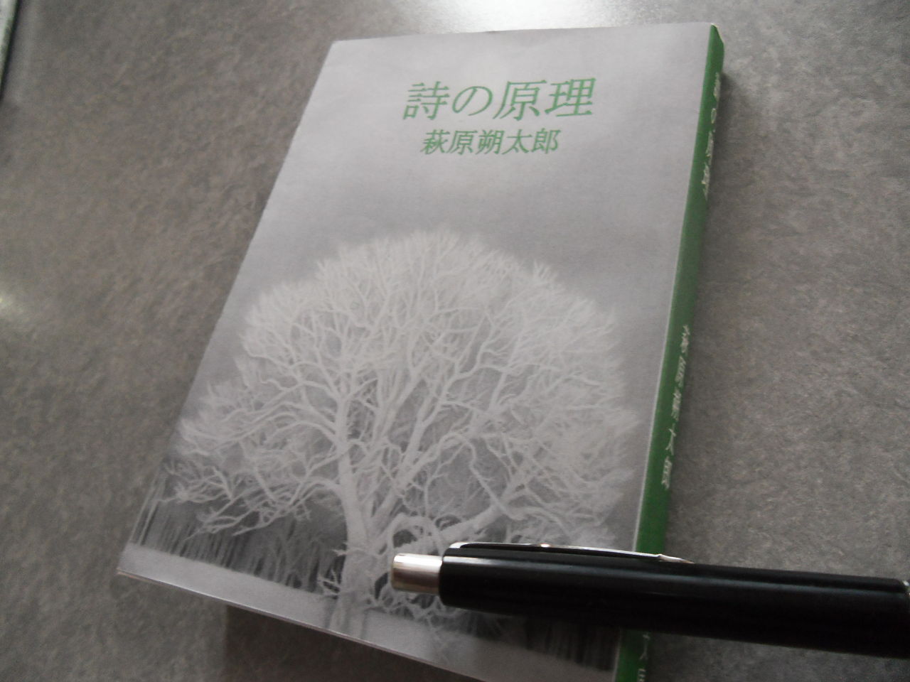 詩の原理／萩原朔太郎 : もれなくついてくる何か