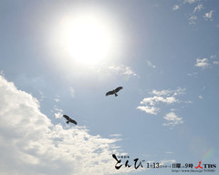 tonbi_wp06_normal[1]