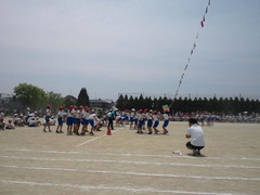 TS3S0452