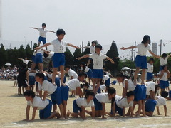 TS3S0467