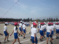 TS3S0430
