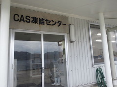 TS3S0846