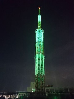 DSC_2441