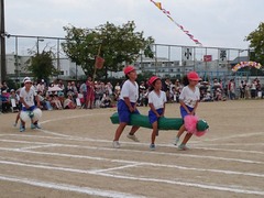 DSC_1546