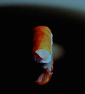 HAJIME_destruction_and_assimilation