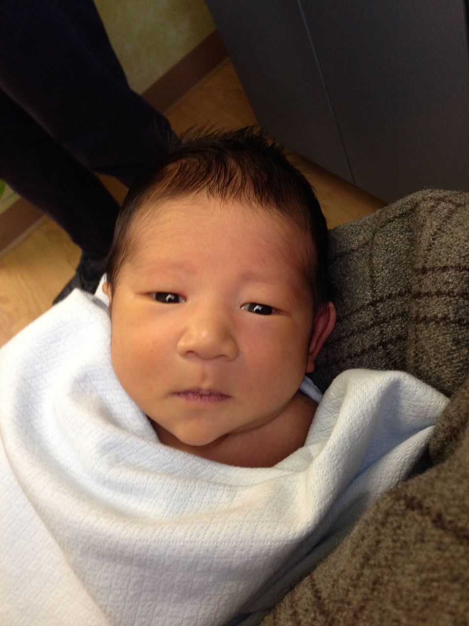 Baby Phoenicia Diary