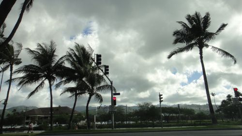 7-29-16-
