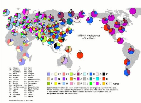 20090412Human moving history from DNA06