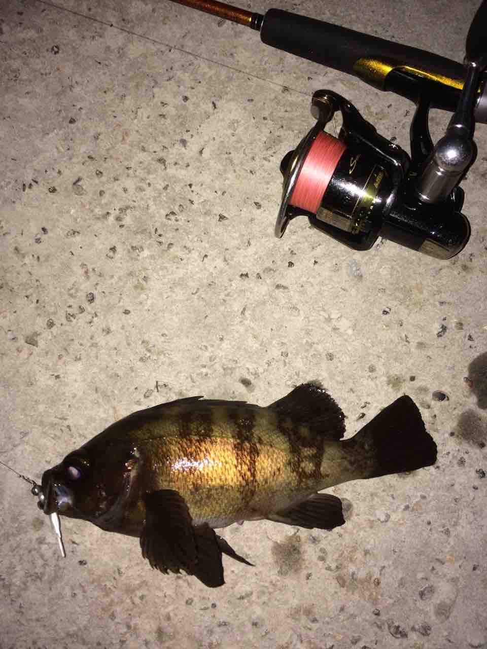 FullSizeRender