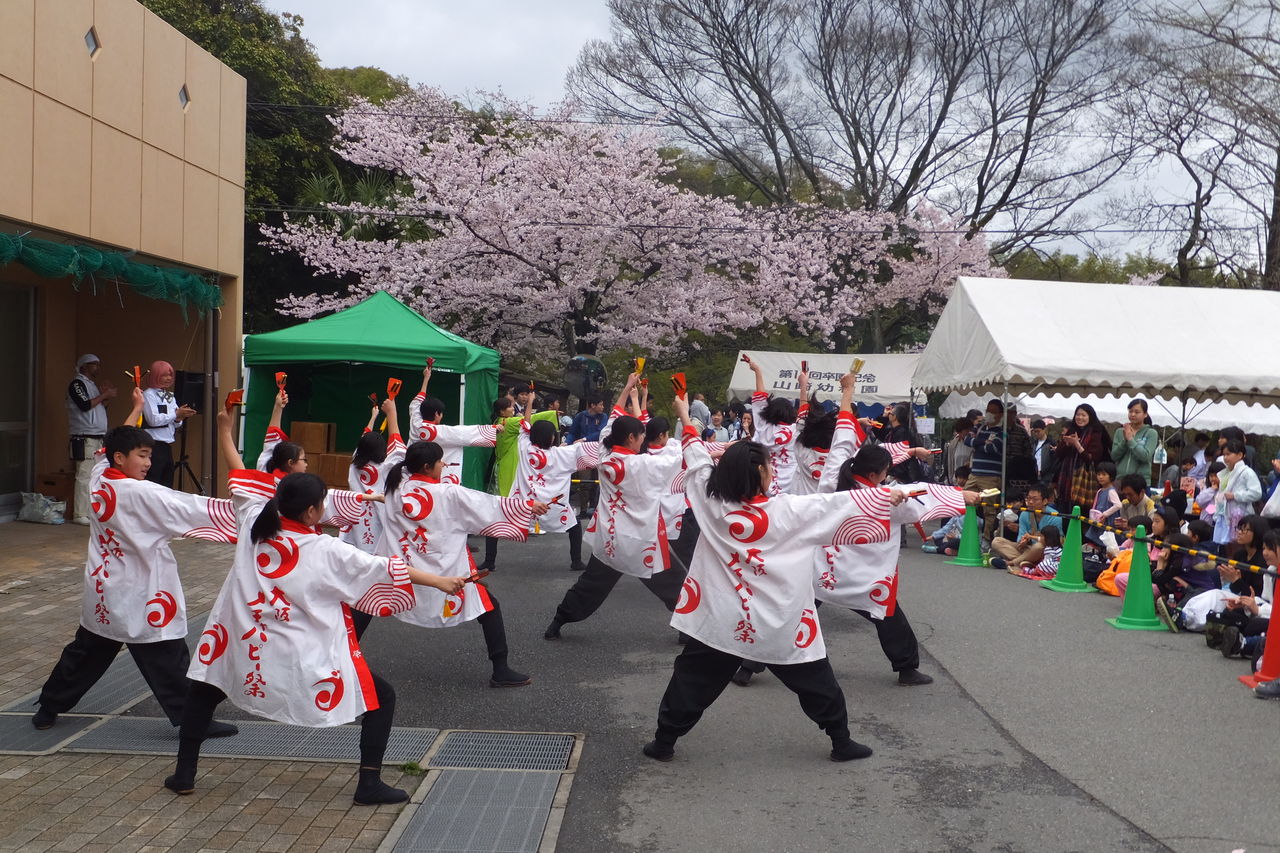 イベント報告 水上隣保館 桜バザー 大阪メチャハピー祭写真館