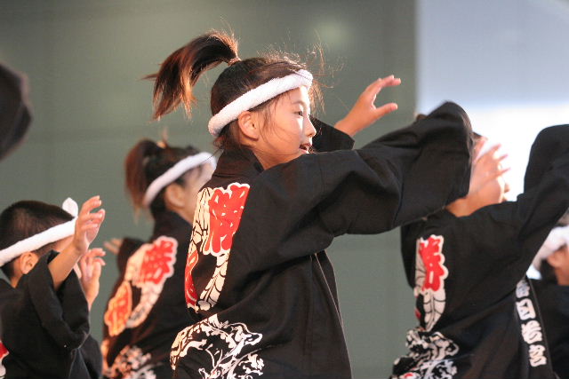 4c898d11.jpg