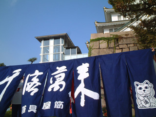 5d097477.jpg