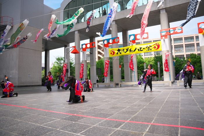 DSC04766