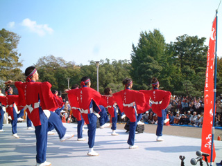 9629449a.jpg