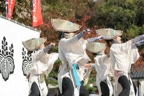 0901121メチャ 1000