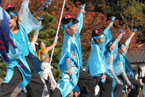 0901121メチャ 1047