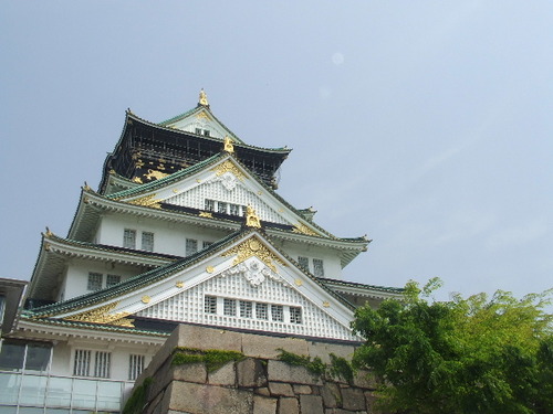 DSCF9173
