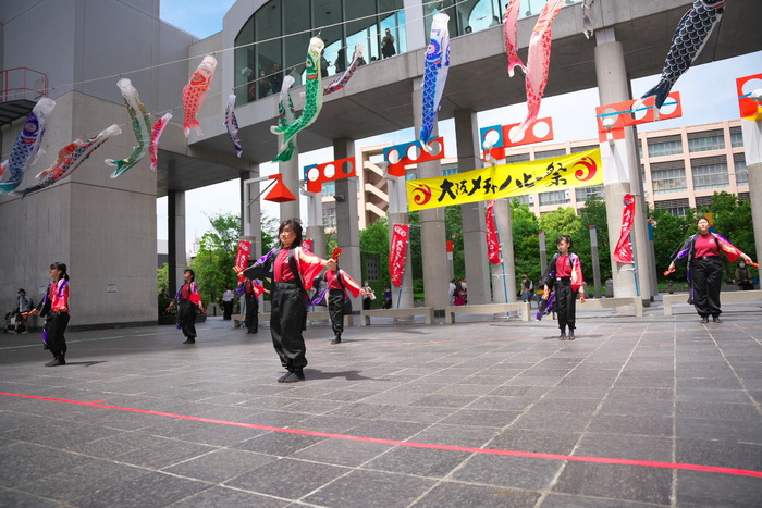 DSC04768
