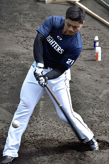 野球 プロ3年目 清宮幸太郎 がパッとしない 張本勲氏が指摘する打撃フォームの欠陥 Me速報