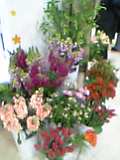 05-03-06_19-33.jpg