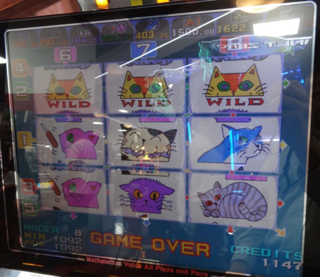 雑記 シグマ キャットハウスでトップライン メダゲーを買う