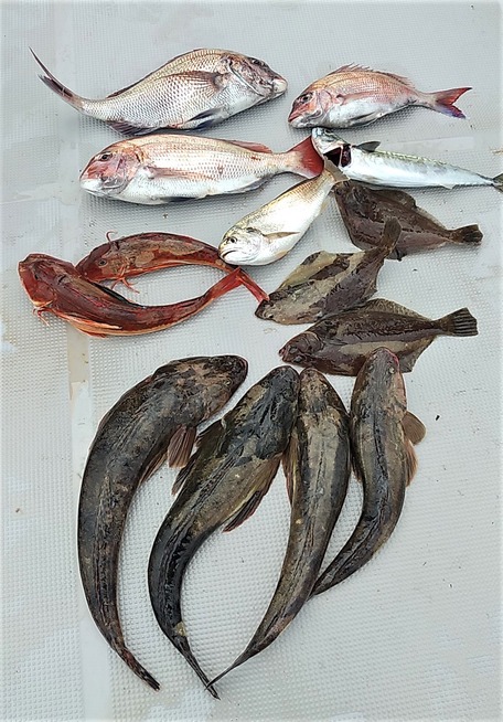 IMG_20200523_134108 (2)