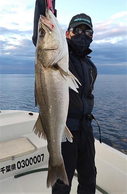 IMG_20201129_070153 (2)