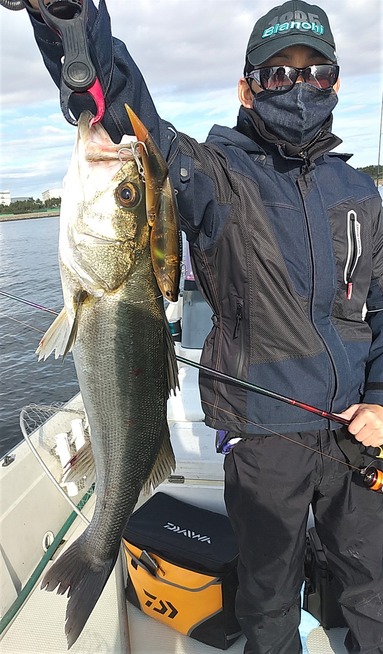 IMG_20201129_090837 (2)